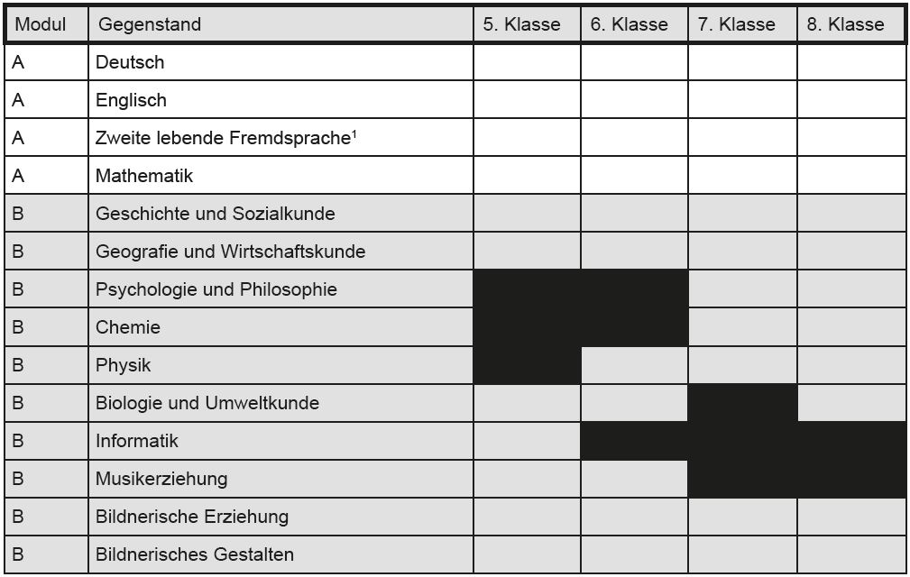 Module AHS Fernlehre