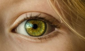Auswirkungen auf Schülerinnen und Schüler durch die Corona-Lockdowns